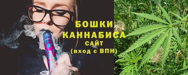 PSILOCYBIN Алексеевка